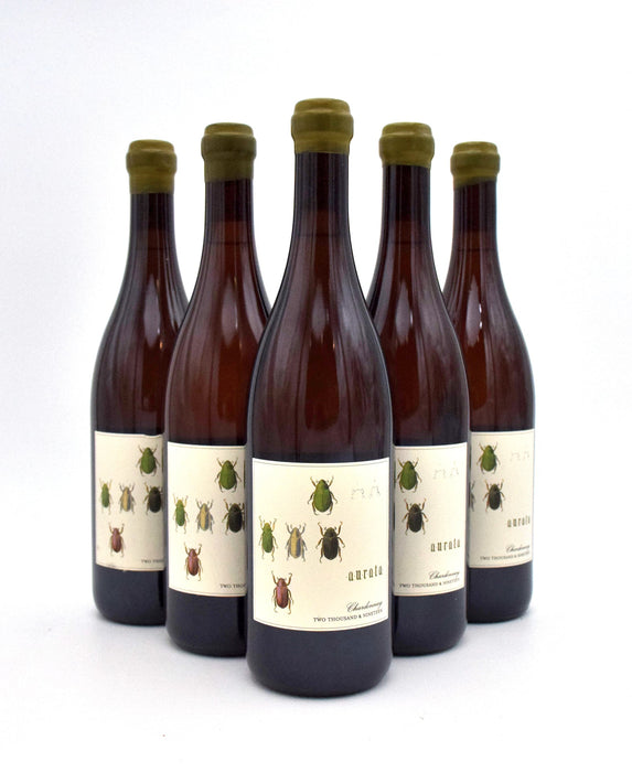2019 Antica Terra 'Aurata' Chardonnay