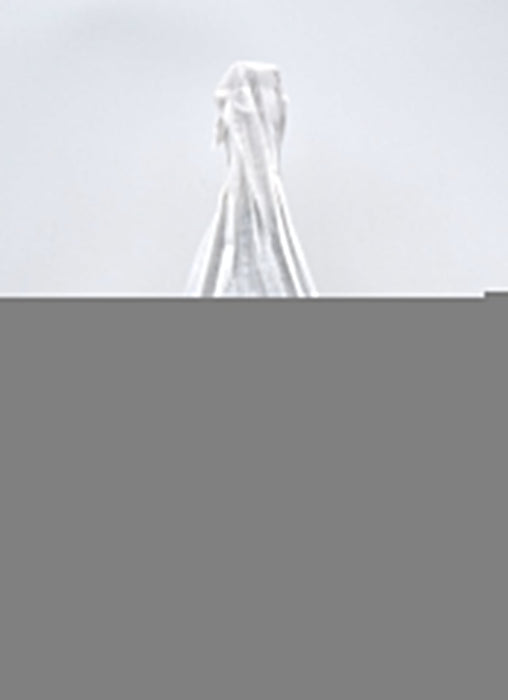 2015 Christophe Baron 'Les Hautes Blanches Vignes' Brut Nature (1.5L, OWC)