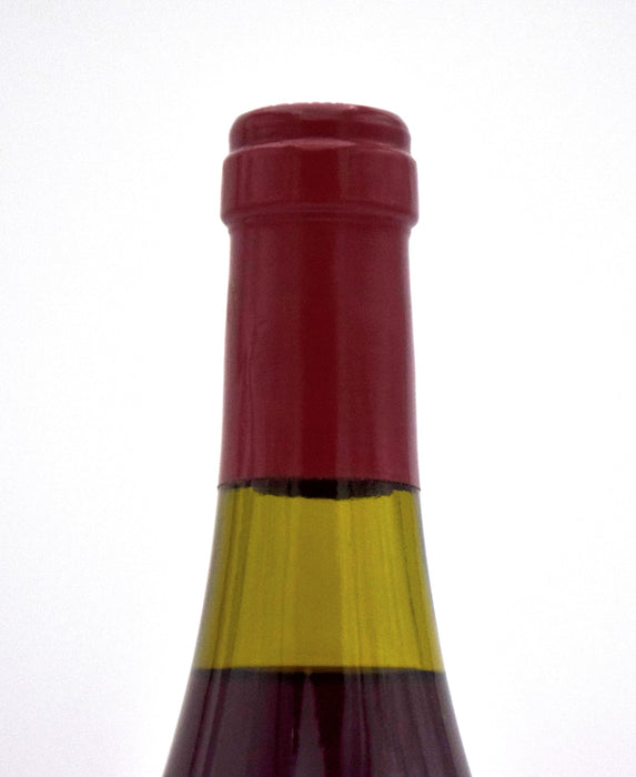 1999 Williams Selyem Mendocino County Pinot Noir (1.5L)