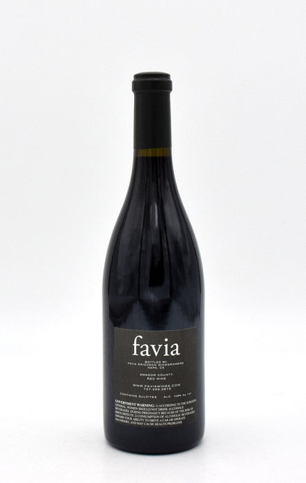 2016 Favia 'Rompecabezas'