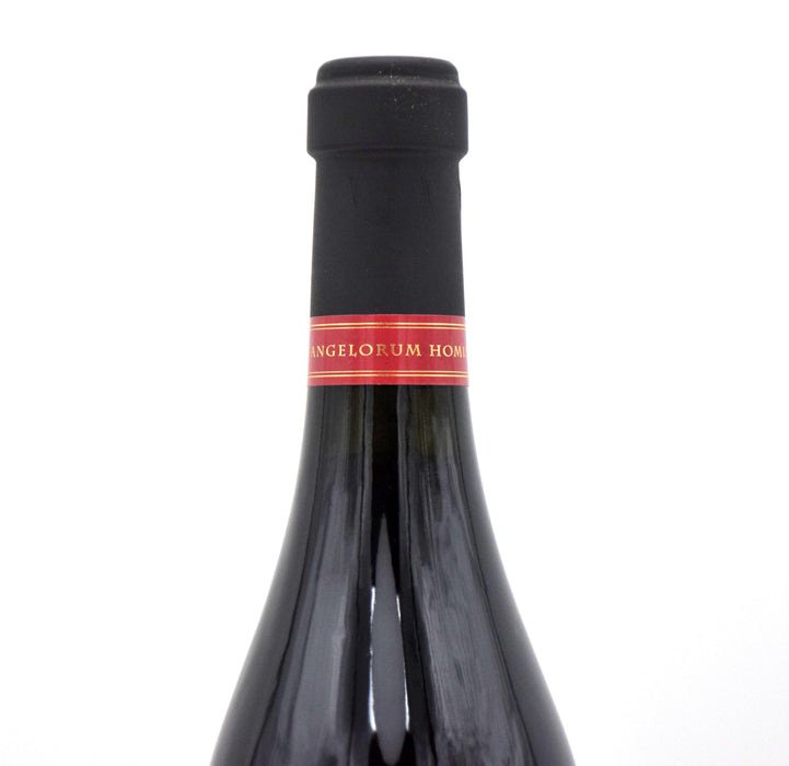 2011 Masi Costasera Riserva